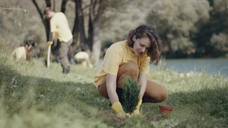 Tree and Shrub Care in Commercial Point, OH